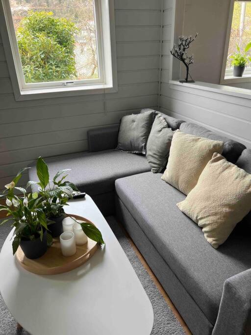Cosy Apartment With Free Parking Bergen Eksteriør billede